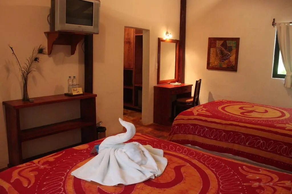 Fusion Beach Hotel Playa del Carmen
